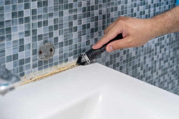 Mold Removal Process in Warren, PA