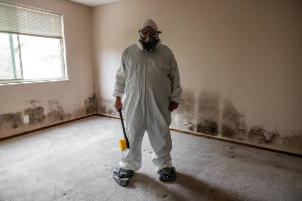 Best Mold Testing  in Warren, PA